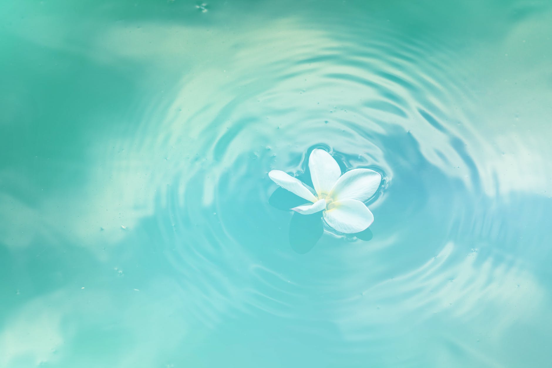spa water products spa water products